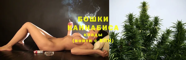 эйфоретик Магас
