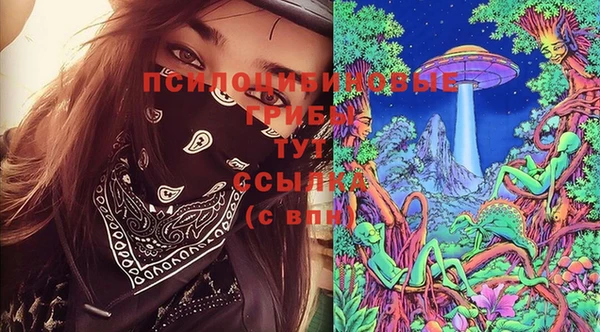 твердый Алзамай