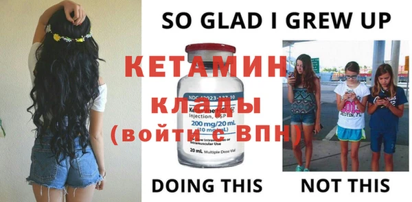 крисы Алексин